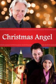 Christmas Angel 2009 on netflix