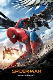 Spider-Man: Homecoming 2017 on netflix