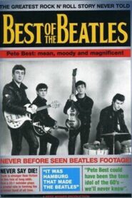 Best Of The Beatles 2005 on netflix