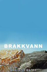 Brackish Water 2007 on netflix