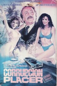 Corrupción y placer 1991 on netflix