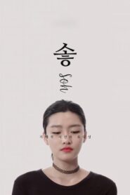 Soh 2018 on netflix