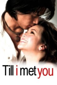 Till I Met You 2006 on netflix