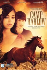 Camp Harlow 2014 on netflix