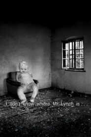 Waiting for Mr. Lynch 2018 on netflix