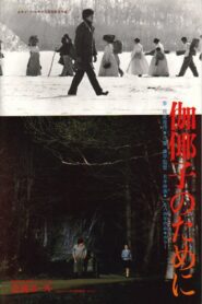 For Kayako 1984 on netflix