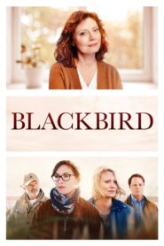 Blackbird 2019 on netflix
