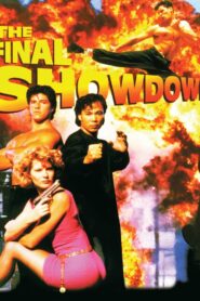 The Final Showdown 1993 on netflix