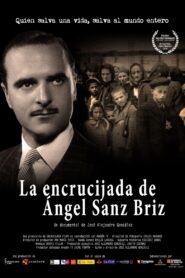 La encrucijada de Ángel Sanz Briz 2015 on netflix