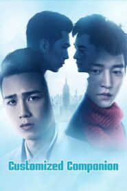 Customized Companion 2017 on netflix