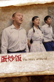 The Story of David 2011 on netflix