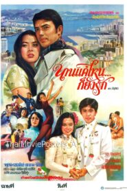 นานแค่ไหนก็ยังรัก 1981 on netflix