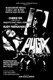 Puga 1980 on netflix