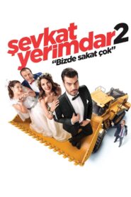 Şevkat Yerimdar 2 2016 on netflix