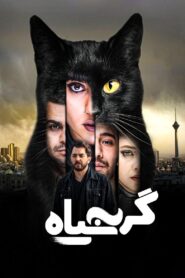 The Black Cat 2021 on netflix