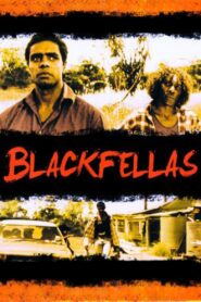 Blackfellas 1993 on netflix