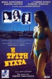 The Third Night 2003 on netflix