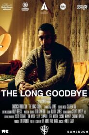 The Long Goodbye 2020 on netflix