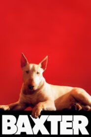 Baxter 1989 on netflix
