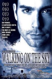 Walking on the Sky 2005 on netflix