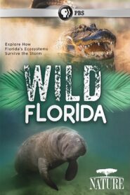 Wild Florida 2020 on netflix