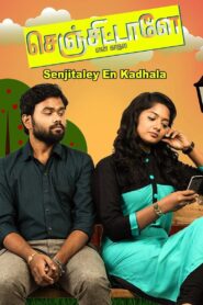 Senjittale En Kadhala 2017 on netflix