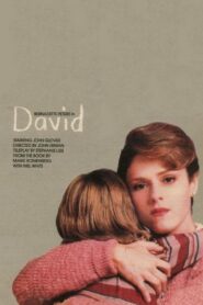 David 1988 on netflix