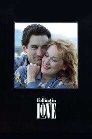 Falling in Love 1984 on netflix