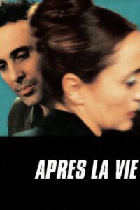 After Life 2003 on netflix
