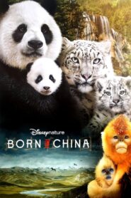 Born in China 2016 on netflix