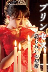 Princess Shy First Night 2016 on netflix