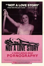 Not a Love Story: A Film About Pornography 1981 on netflix