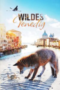 Wild Venice 2014 on netflix