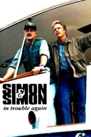 Simon & Simon: In Trouble Again 1995 on netflix