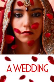A Wedding 2017 on netflix