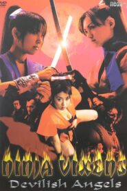 Ninja Vixens: Devilish Angels 2002 on netflix