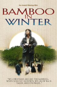 Bamboo In Winter 1991 on netflix