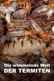 The World According to Termites 2018 on netflix
