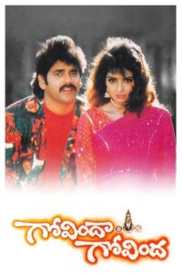Govindha Govindha 1993 on netflix