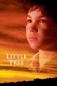 The Education of Little Tree 1997 on netflix