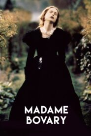 Madame Bovary 1991 on netflix