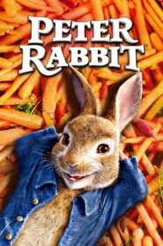 Peter Rabbit 2018 on netflix