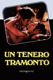 A Tender Sunset 1984 on netflix