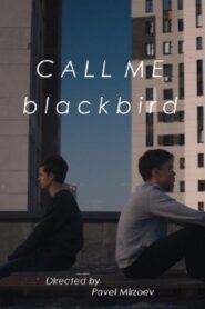 Call Me Blackbird 2020 on netflix