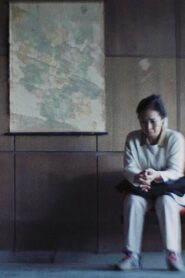 The Blacklisted 2019 on netflix