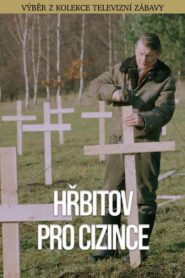 Hřbitov pro cizince 1991 on netflix