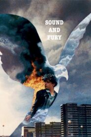 Sound and Fury 1988 on netflix