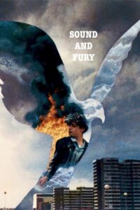 Sound and Fury 1988 on netflix