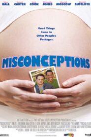 Misconceptions 2010 on netflix