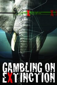 Gambling on Extinction 2015 on netflix